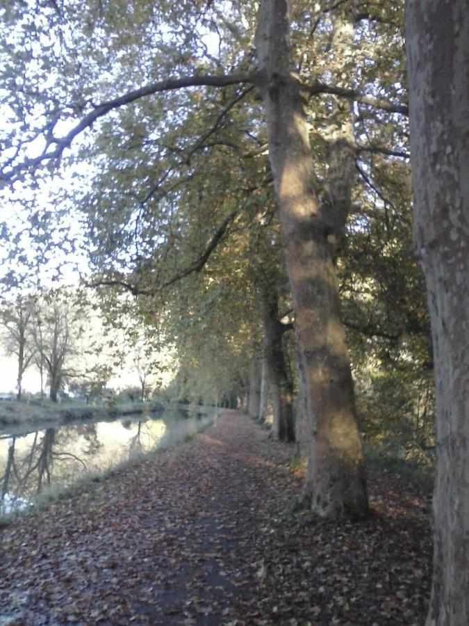 Gite 3 étoiles entre sources et rivière Besançon Vaire-le-Grand Exterior foto
